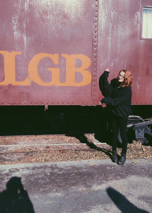 melissascullys:the motel made up of old train cabooses in the middle of amish country really spoke t