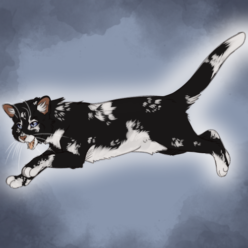 Slugs genetically accurate cats — Tigerstar 2 (Classic black tabby with low  white