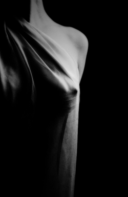 southernsiren69:  A silhouette of sins, glimpsed.