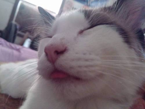 night1703:First blep of the new year