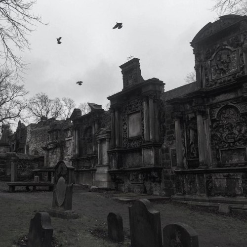 alteriusnocte:   by spookula   alterius in vk