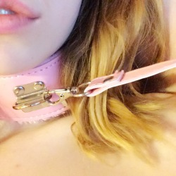 maraschinocherub: pink collar and lead 🎀🍑
