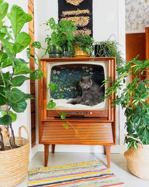 home-deco-ideas: Repurposed old TV used as a cat chillatorium (by Keltainen kahvipannu) via 