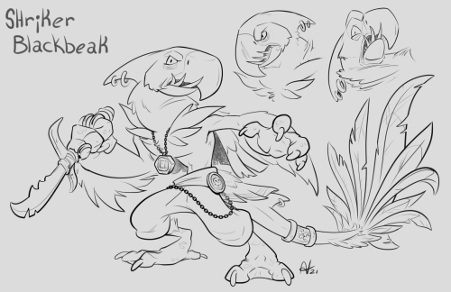  I had an random inspiration to draw a character who was part shark and part macaw. …Who&rsqu