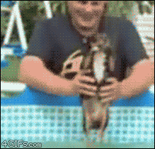 sabboctopus:  Oh my god the cute. He’s trying to swim.  