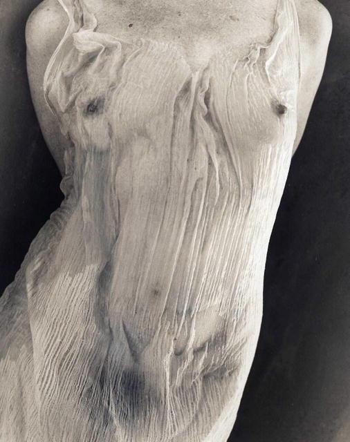 regardintemporel: Margaretta Mitchell - Tree   From the Green Series  ca. 2000