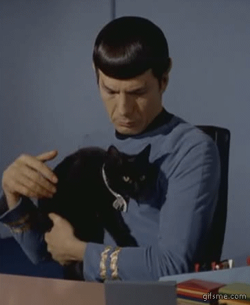 Spock Animals Cats Star Trek Gifs Gif - Find And Share Funny Gifs On Gifsme