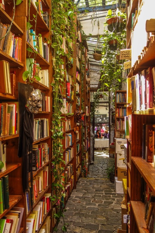 bookmania:Babilonia Libros, a bookshop in the university district of UruguayThe greens and the books