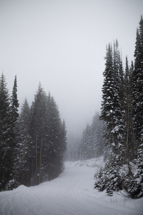 sitoutside: Guardsman Pass   by  kylesipple☬  
