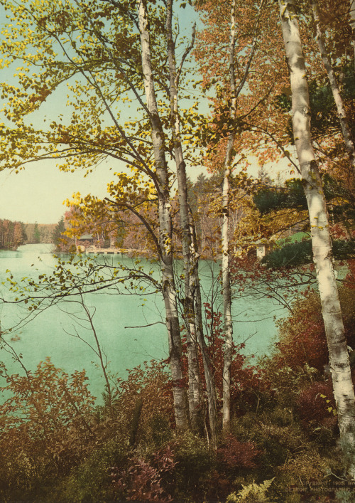 The Inlet, Spit-Fire Lake, Adirondack Mountains - photochrom, Detroit Photographic Co. - c. 1903 - v