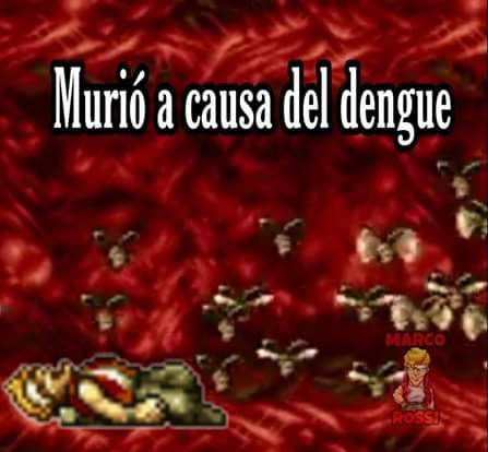 otro-pendejo-blog - ES DIA DE LA TORTA DE WEBO