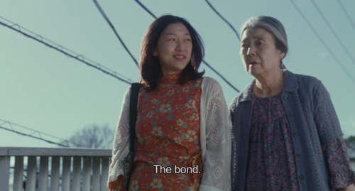 addictofcinema:  Shoplifters (2018) Hirokazu Kore-eda 