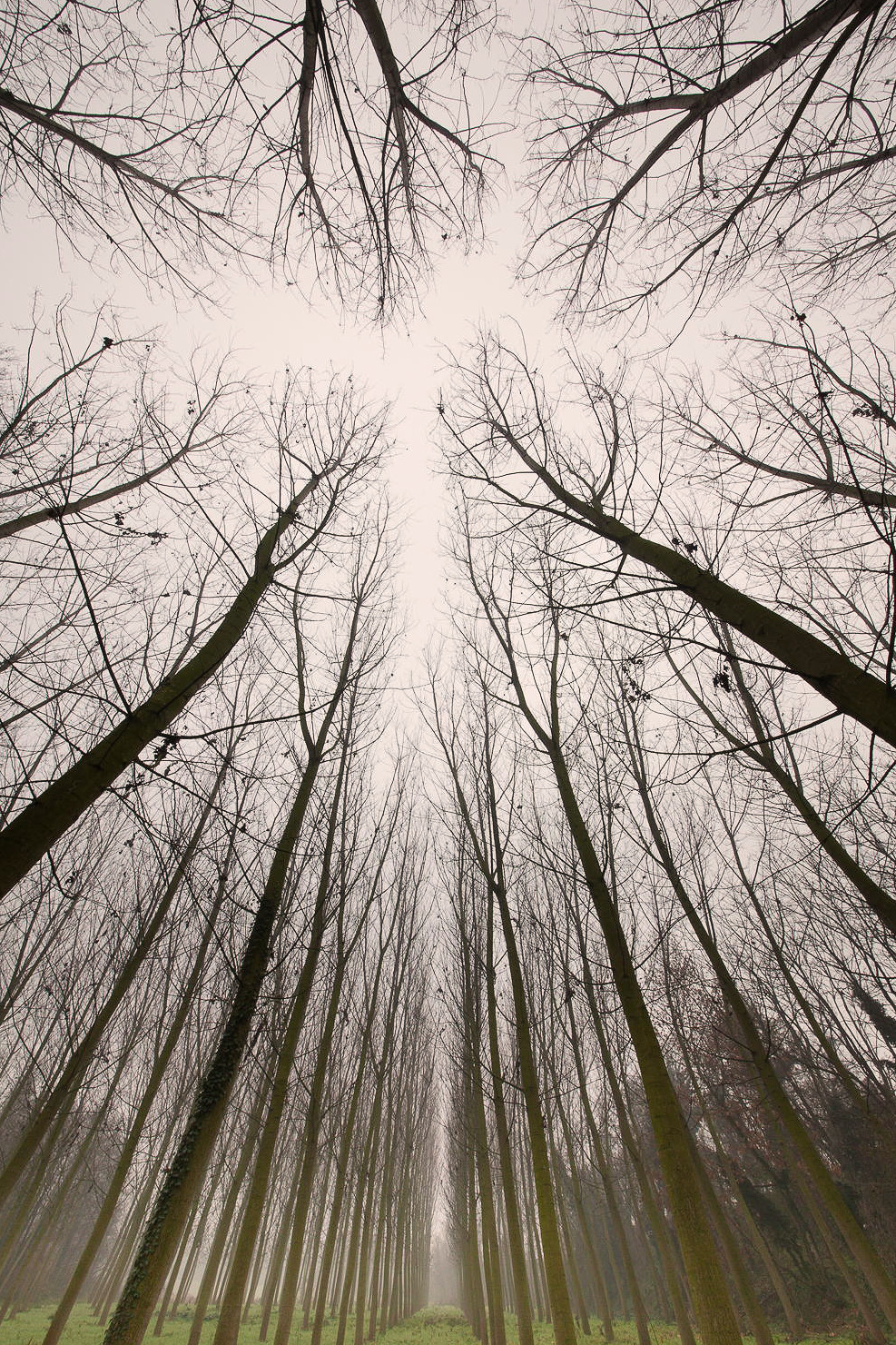 wnderlst:  Verso l'alto ↝ Andrea Corti 