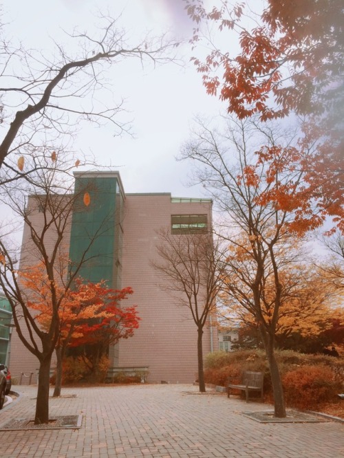 It’s Fall change to WinterMy University for Korean language 