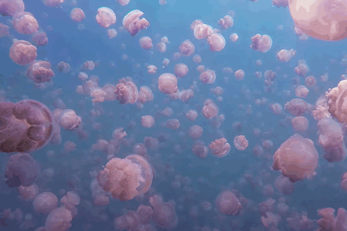 artwhore99:These jellyfish are beautiful 