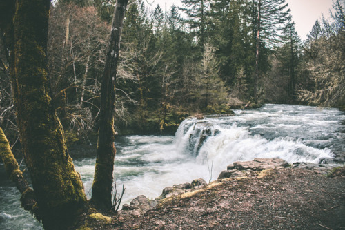 hannahkemp: Oregon Waterfalls March 2017Prints//Instagram