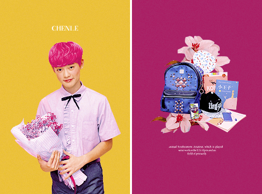 monoka:  nct dream flower boys &amp; their bags ðŸ’•ðŸŒ¸ðŸŽ’ 