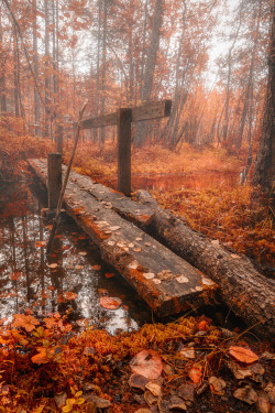 ponderation:  Autumn Bridge by   Tuomo Arovainio