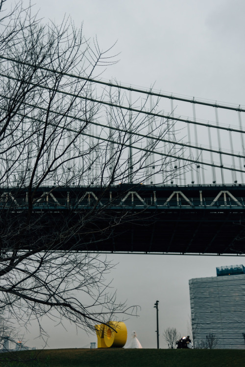 joelzimmer:   Flight / Fog  Brooklyn Bridge Park, Brooklyn 