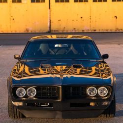 utwo: Pontiac Firebird © lsbirdman  