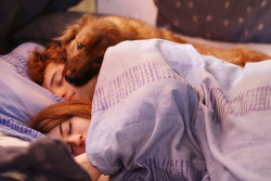 Rednecknature:  Love | Tumblr On We Heart It - Http://Weheartit.com/Entry/57622768/Via/Roguesquid
