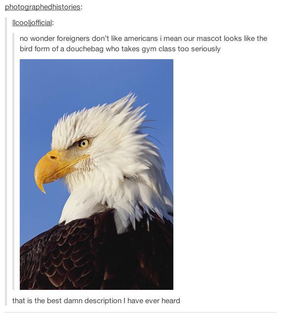 perks-of-being-chinese:  part:1,2,3,4,5,6 