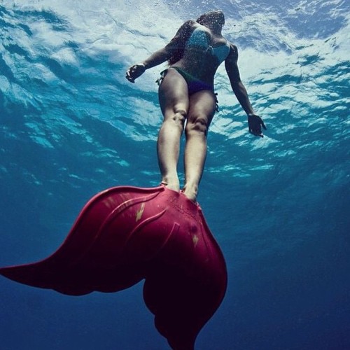 mahinamermaid: @king_kamelamela emerging in her #mahinamerfin #mahinamermaid #mermaid #ocean