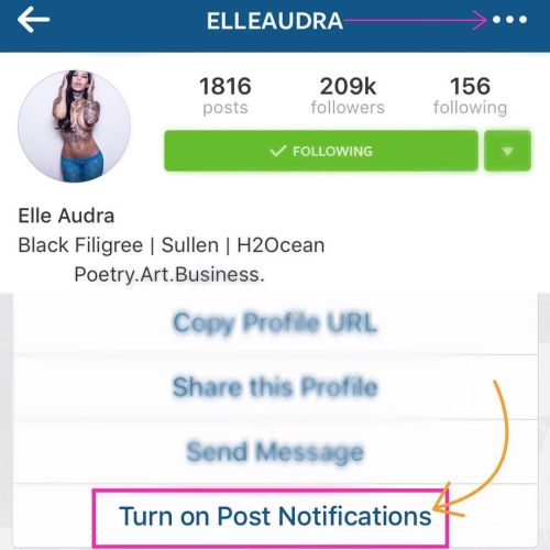 Instagram has put the algorithm into effect with the new update. If you wish to see my work and get notified when I’ve posted something then go to my profile, tap the 3 dots in the top corner and select the ‘Turn on post notifications’