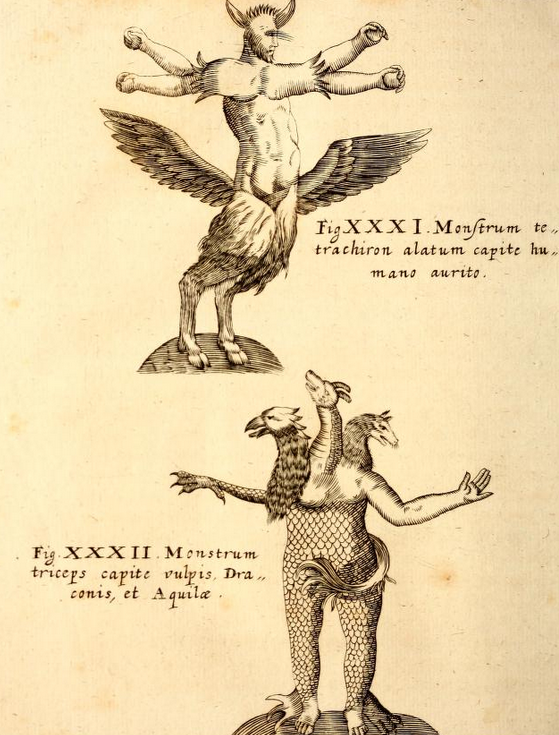 magictransistor:Gaspar Schott. Physica Curiosa, Mirabilia Naturæ et Artis. 1662. 