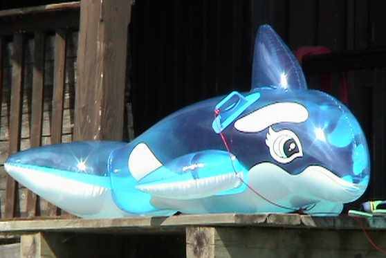 #inflatables on Tumblr