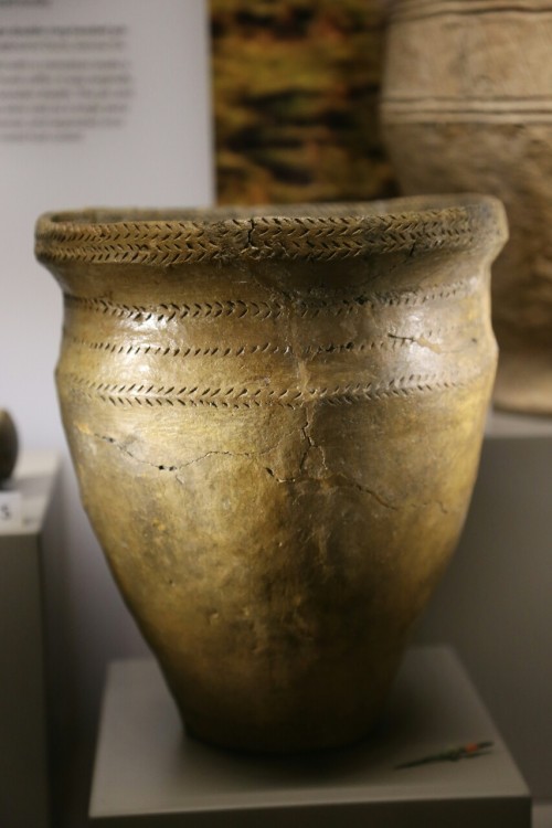 Prehistoric Beakers Set 1, Wiltshire Museum, Devizes, 20.2.16.