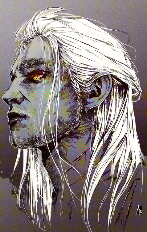 an-accidental-memory:in a real witcher mood again :D i tried to combine henry cavill and the game ve