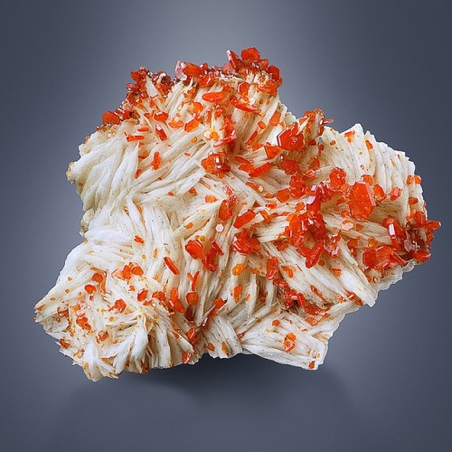 hematitehearts: Vanadinite on BaryteLocality: Mibladen, Meknès-Tafilalet Region, MoroccoSize: