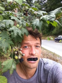 queer-pasta:  mindful-genius:  mindful-genius  Whenever I get sad, I remember that this man exists and I smile.   misha collins looks like a crazy neighbor  