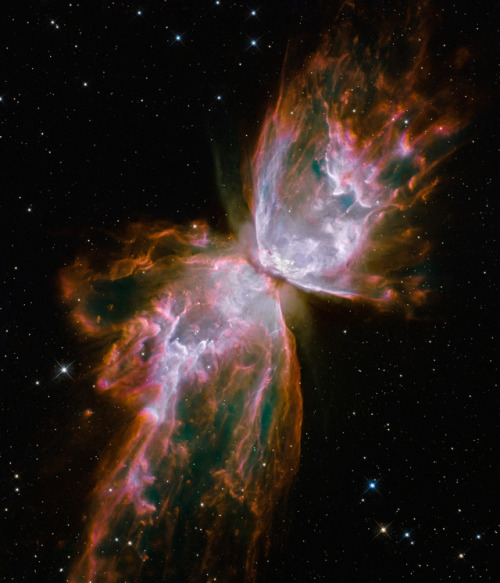 astronomyblog:Butterfly Nebula, is a bipolar planetary nebula in the constellation Scorpius. The str