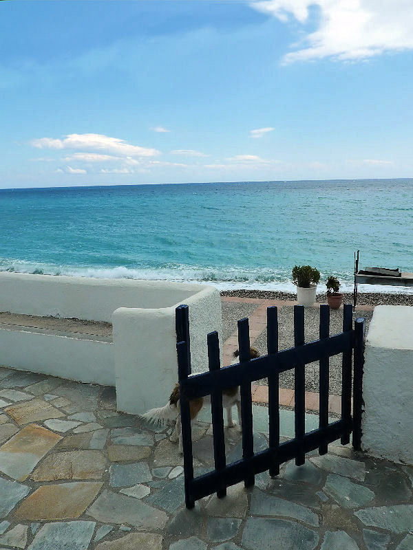 handa:  waiting, a photo from Hios, North Aegean | TrekEarth