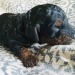 glumshoe:glumshoe:glumshoe:Hhhhhhhhh my little itty baby dog whomst I already love