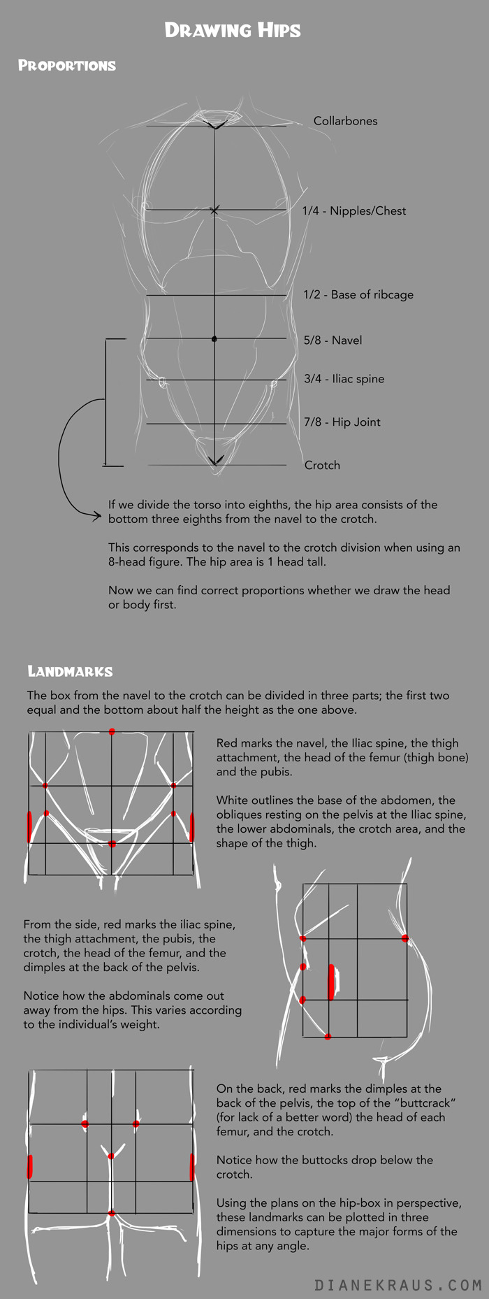 dianekraus:  At long last, the hip tutorial appears! Poor neglected hips, such an