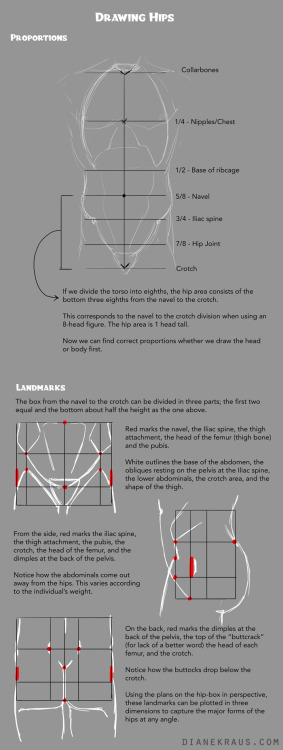 dianekraus:  At long last, the hip tutorial appears! Poor neglected hips, such an awesome part of the body but so difficult to do *right*. It really just takes a few plotted landmarks and they’ll draw themselves, promise.  More tutorials and stuff