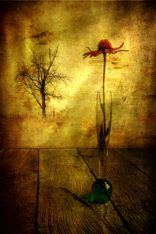 On The Table by Veikko Suikkanen