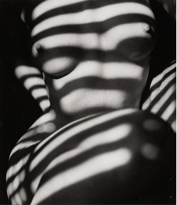  Peter Basch. 