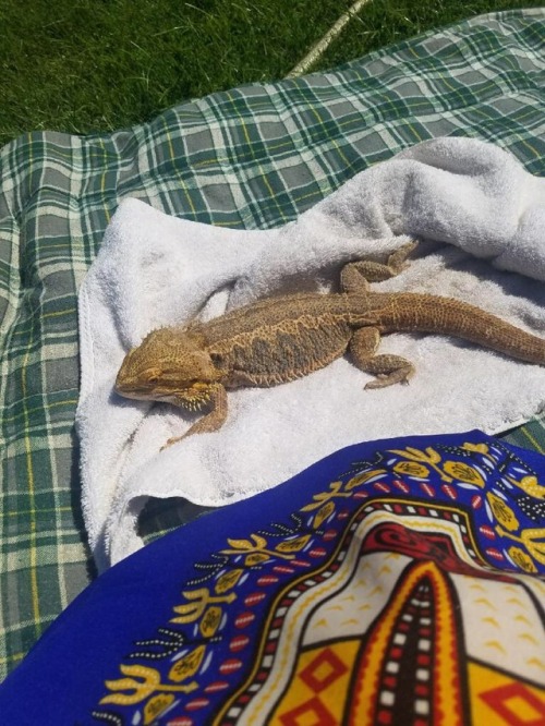 My Mom Sunbathes With Her