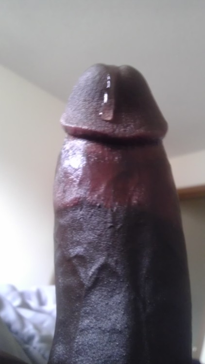 blackdickismyfavorite:  I follow back