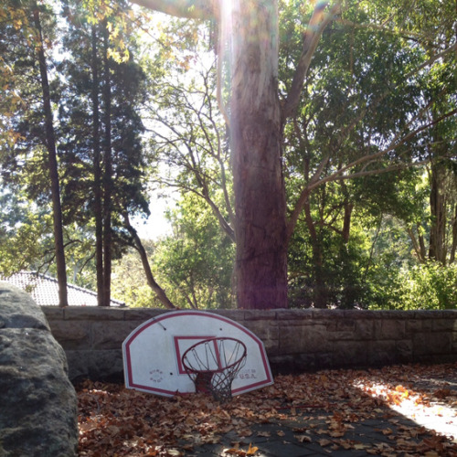 basketball diaries, photography karen inderbitzen-waller & delphine avril planqueel