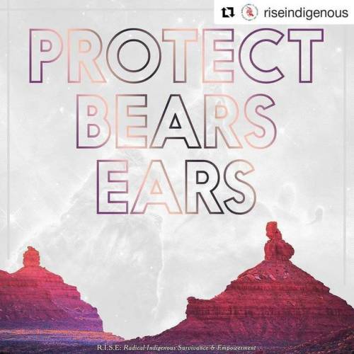 #Repost @riseindigenous (@get_repost)・・・#ProtectBearsEarsFREE high resolution 18″ x 18″ poster in so