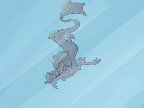 A MER WaO