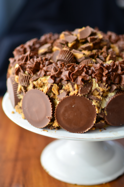 do-not-touch-my-food:  Reese’s Peanut Butter