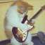 guitar-cat00