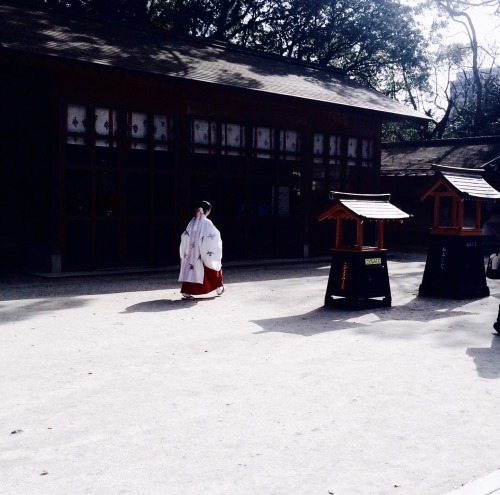 fraduignan:Sumiyoshi shrine 住吉神社の巫女、博多