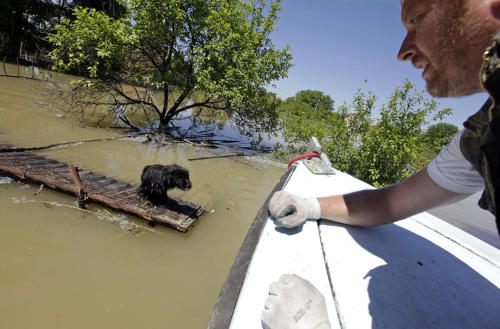 XXX merosezah:  1. A Serbian rows a boat past photo